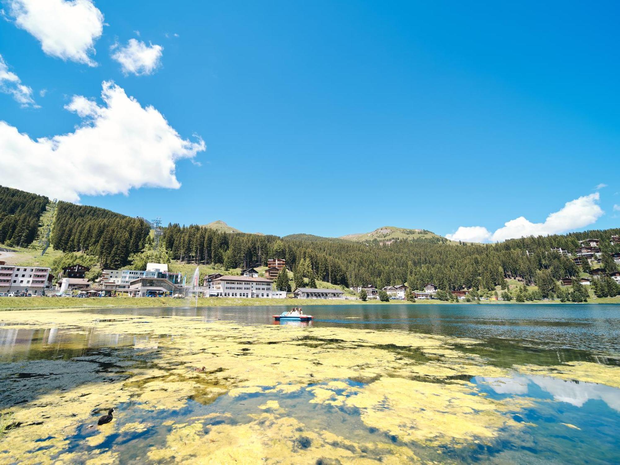 Haus Padrun 8 By Arosa Vacations 아파트 외부 사진